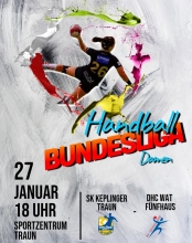 Handball, Bundesliga